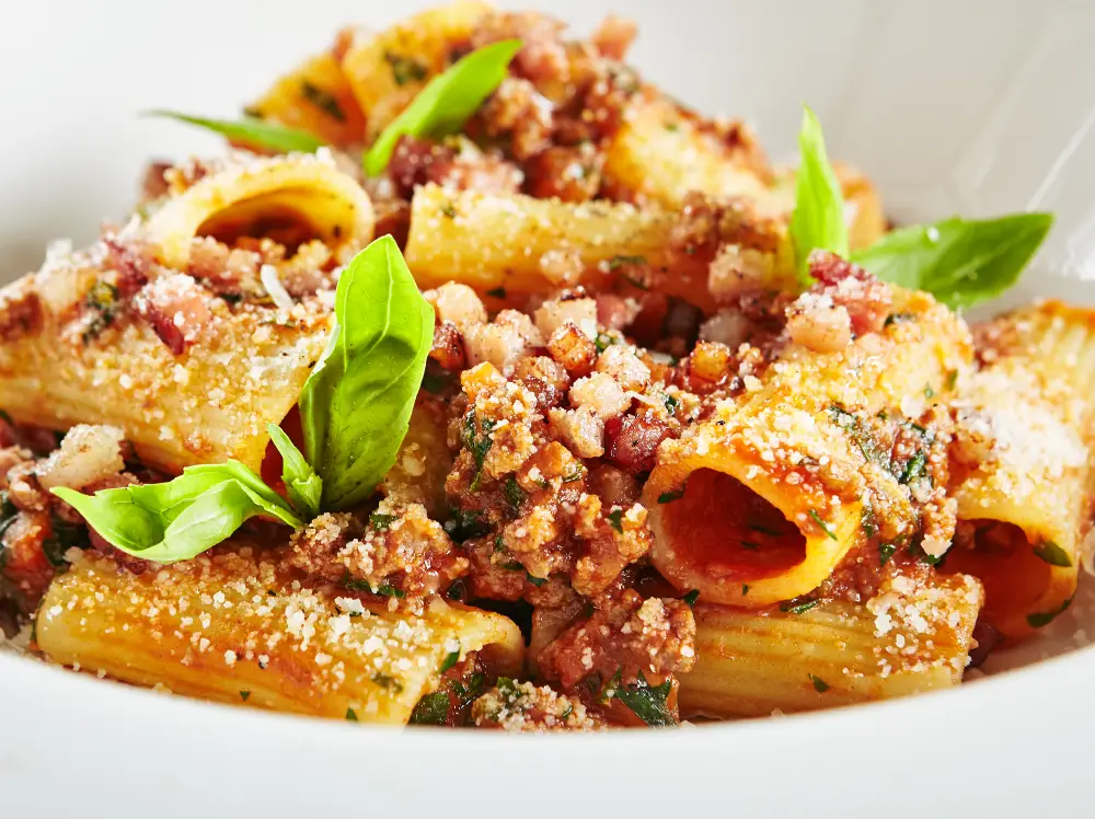 rigatoni pasta topped with sauce, parmesan, and fresh basil
